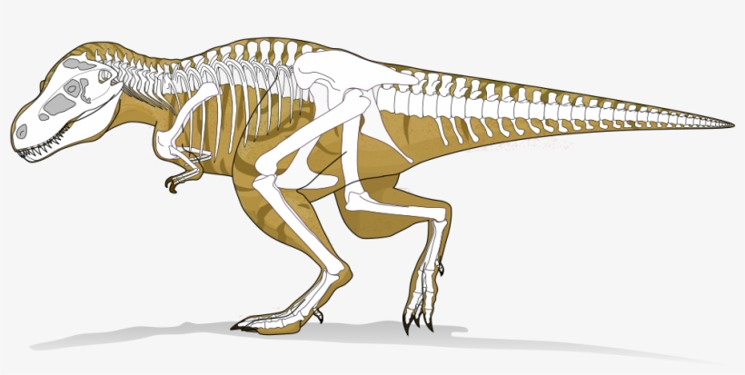Open - Tyranosaurus Rex, transparent png