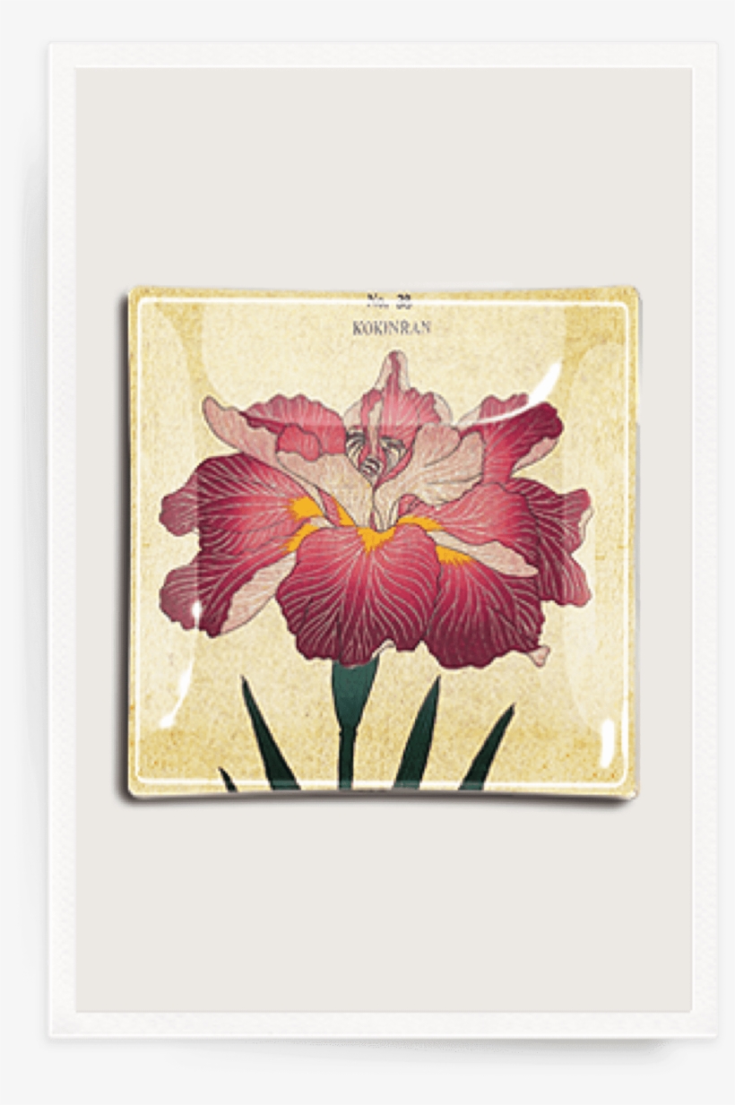 Giclee Painting: Plate 38, 61x46in., transparent png
