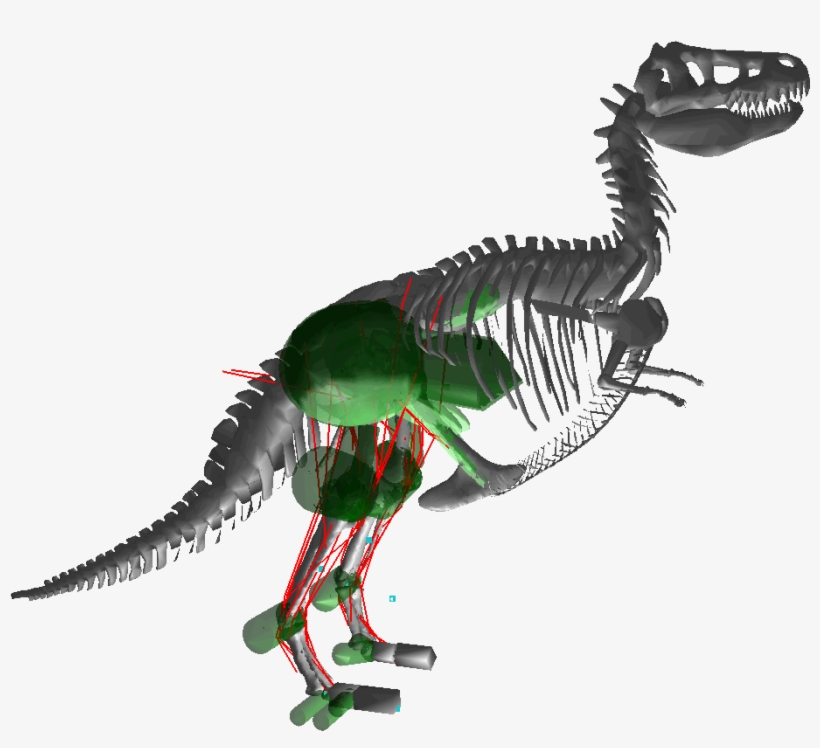 File - Trex - Tyrannosaurus, transparent png
