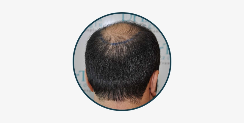 Back - Online And Offline, transparent png