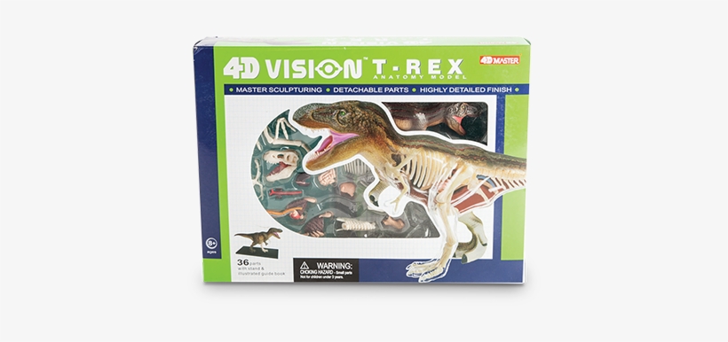 T-rex Anatomy Model - Triceratops 4d Anatomy Model, transparent png