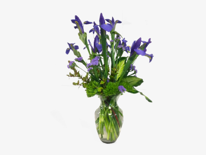 Intriguing Iris - Balloon Flower, transparent png