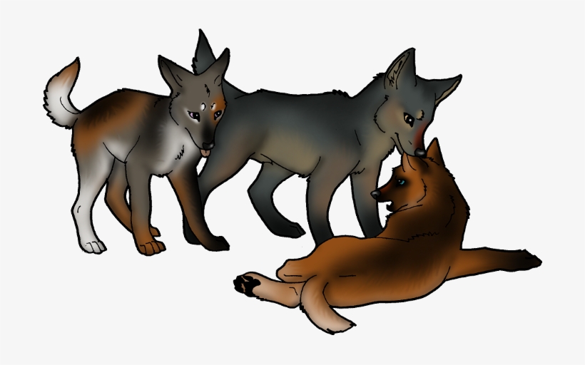 [m] This Is A Black, Black Ski Mask Song - Kunming Wolfdog, transparent png