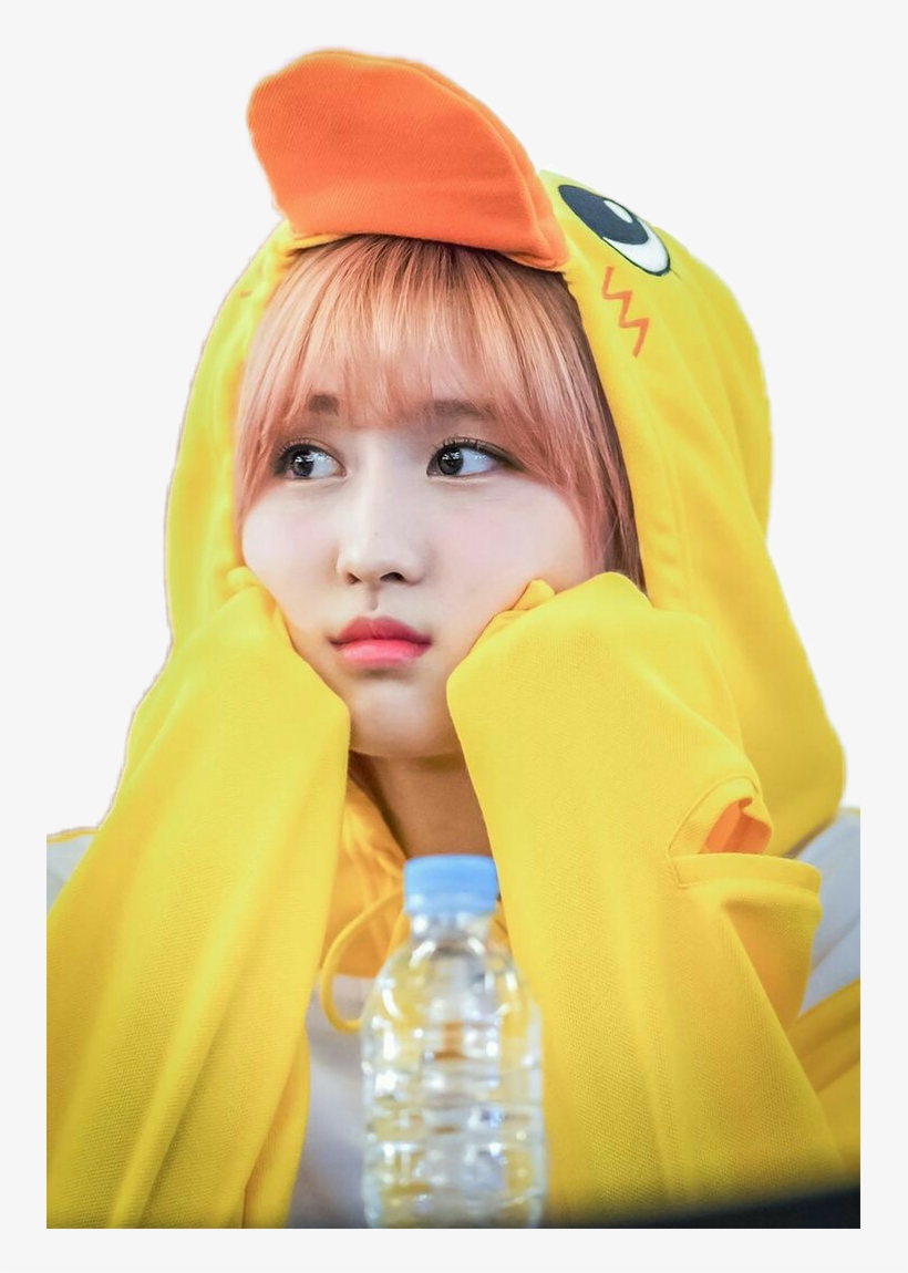 Momo Sticker - Pato Momo Twice, transparent png