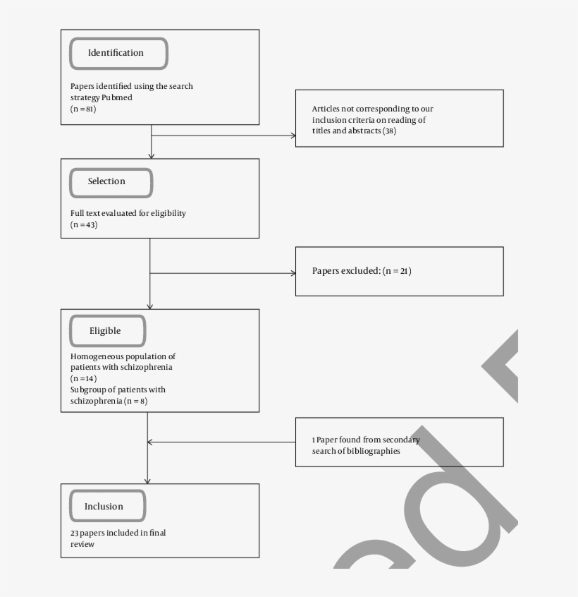 Article Selection Chart For Review Of The Literature - Literature, transparent png