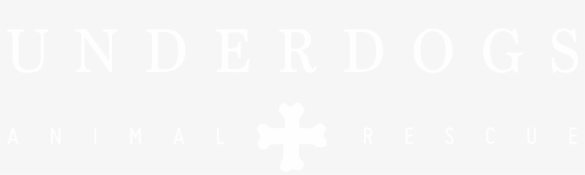 Ps4 Logo White Transparent, transparent png