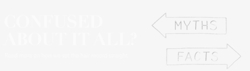 Hair Loss Myth Facts Header - Diagram, transparent png