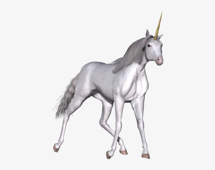 Unicorn, transparent png