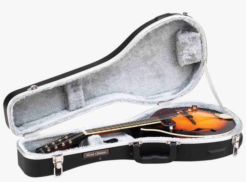 Abs Molded Mandolin Case Road Runner Rrmama - Viola, transparent png