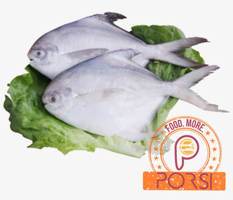 Ikan Bawal - Pampus Argenteus, transparent png