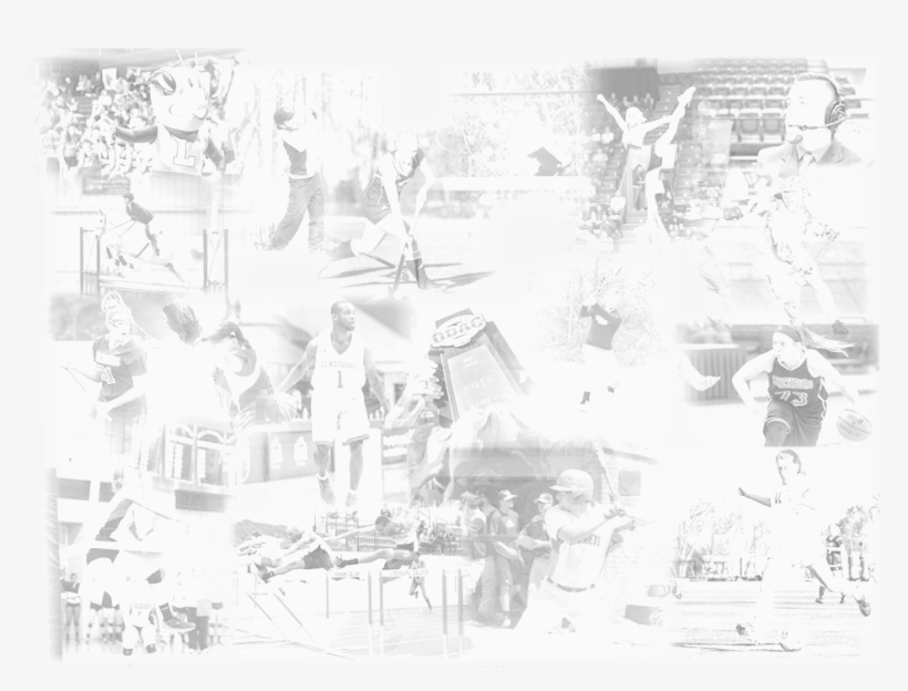 Hive Page, transparent png