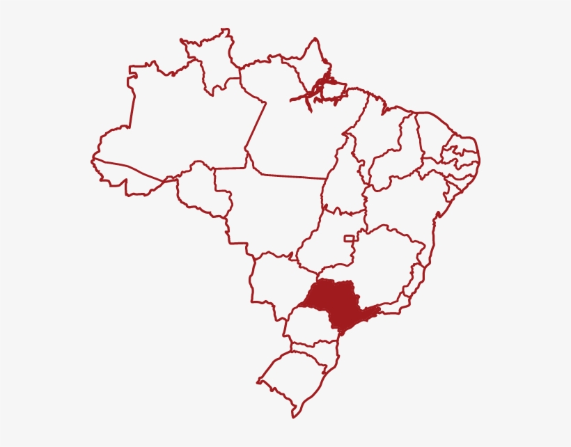 Nenhuma Unidade Encontrada - Brazil Blank Map, transparent png