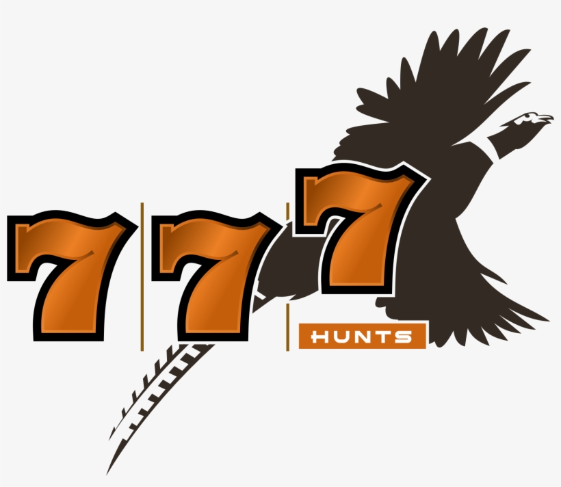 Kansas Pheasant Hunts - Pheasant, transparent png