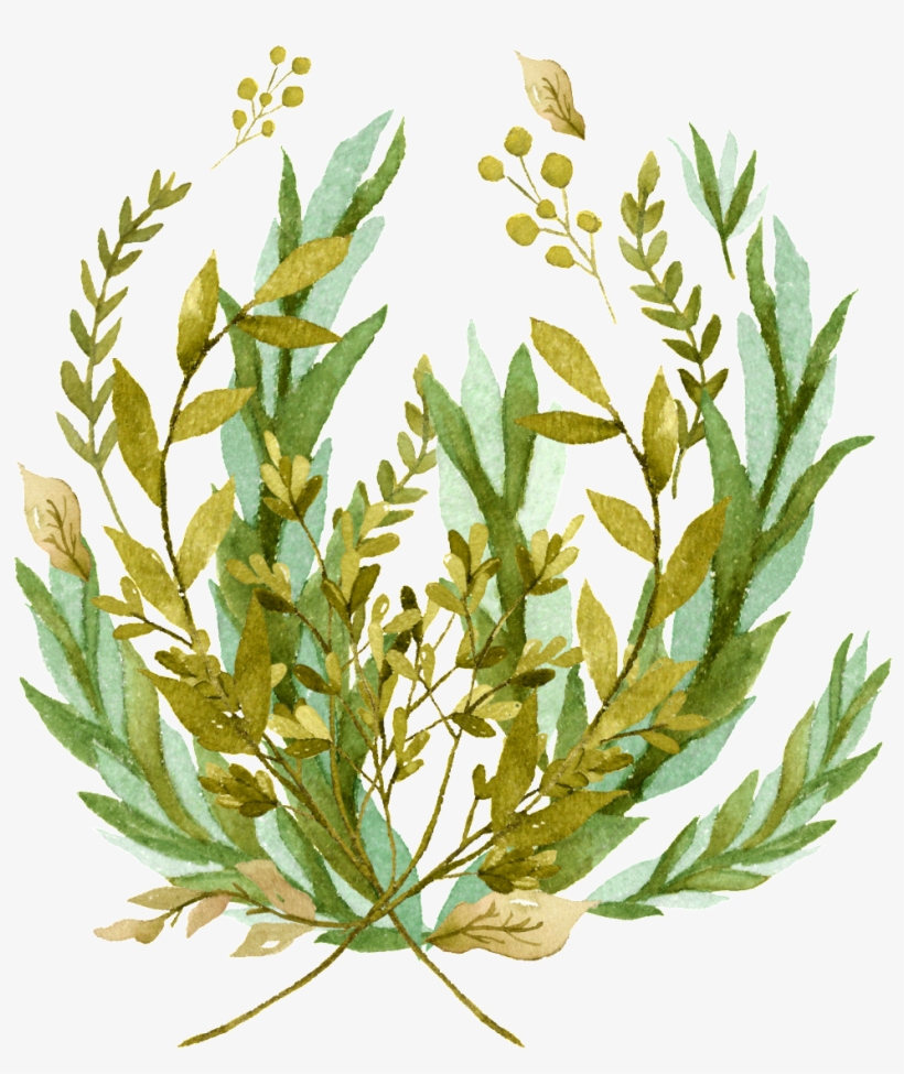 Rice Ear Branch Cartoon Transparent - Illustration, transparent png