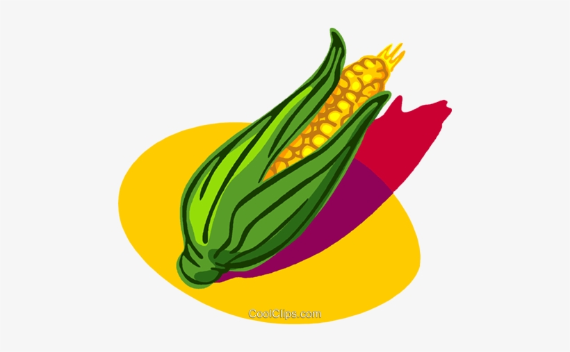 Corn On The Husk Royalty Free Vector Clip Art Illustration - Maize, transparent png