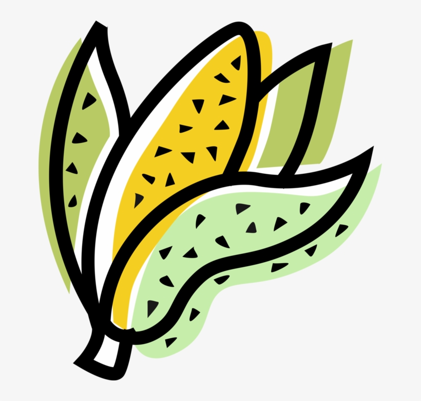 Vector Illustration Of Husk Or Cob Of Corn Maize - Sweetcorn Clipart, transparent png