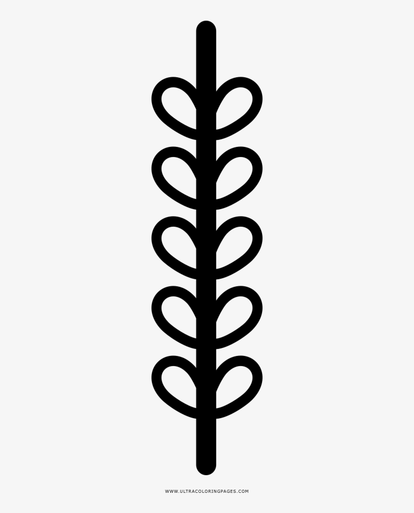 Rice Plant Coloring Page - Coil, transparent png