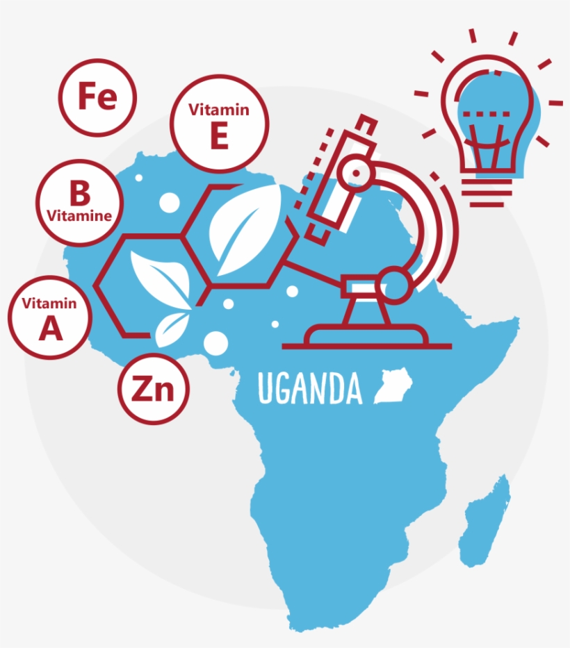 And The Winner Is - Black Africa White Background, transparent png