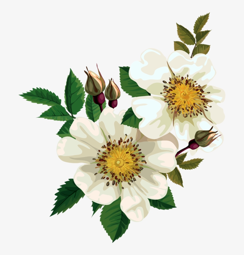 Rice Clipart Gif Transparent - Clip Art, transparent png