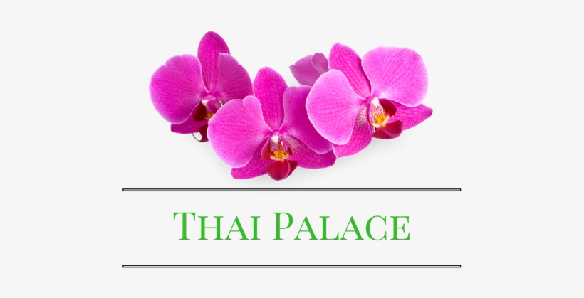 Thai Palace Best Thai Food In Town - Pursonic Cr360 Battery Operated Callus Remover, White, transparent png
