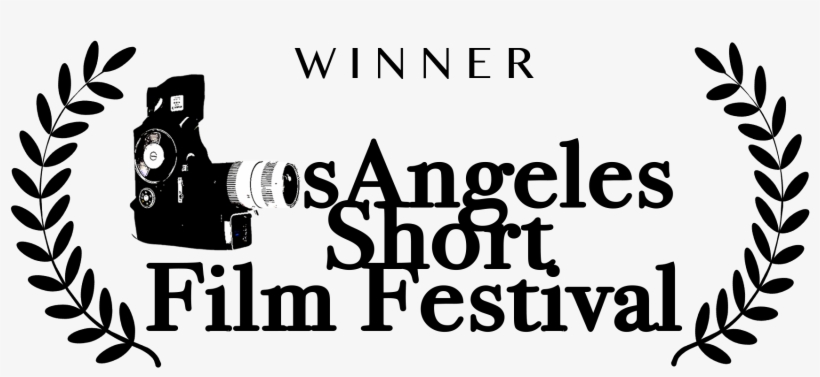 Lasff2017winner - Video Camera, transparent png