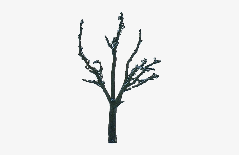 Tree After Siox - Tree Winter, transparent png