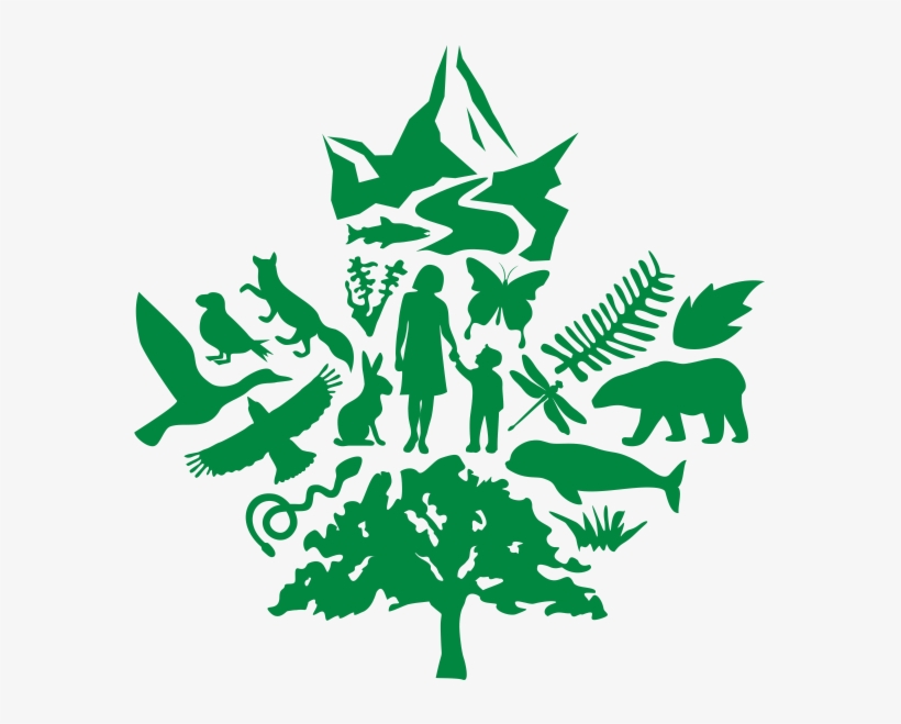 Home - Wetland, transparent png