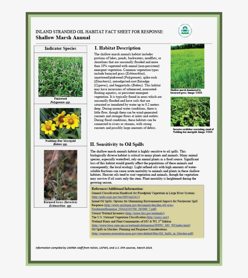 Download Pdf - Grass, transparent png