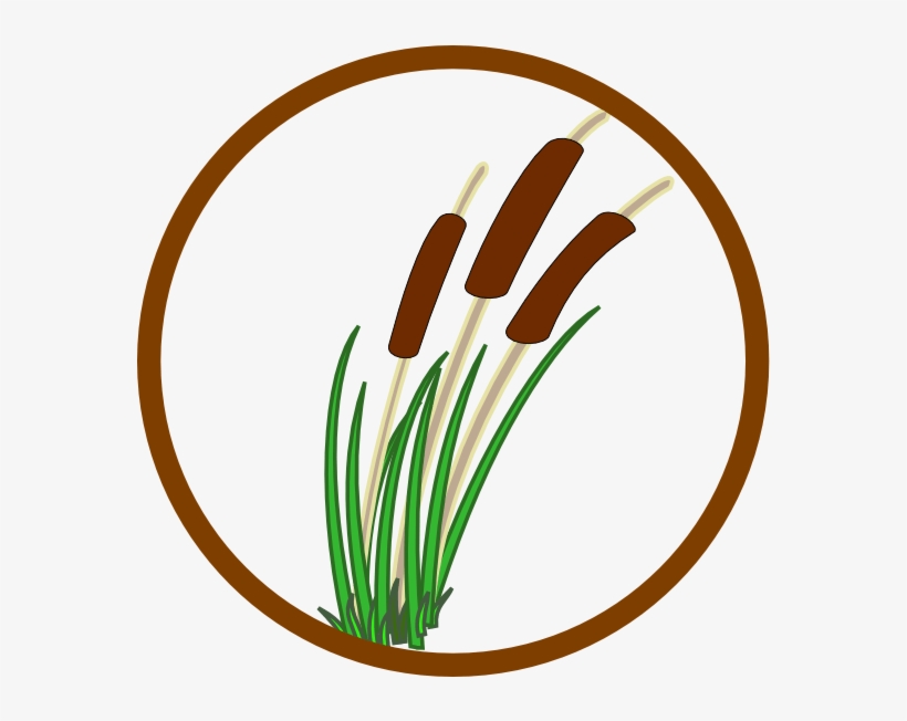 Marsh Clipart, transparent png