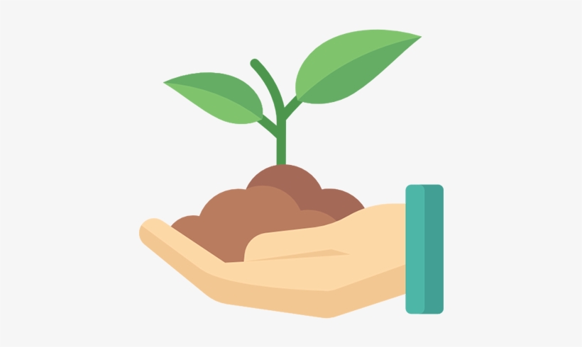 History - Plant Nursery Cartoon, transparent png