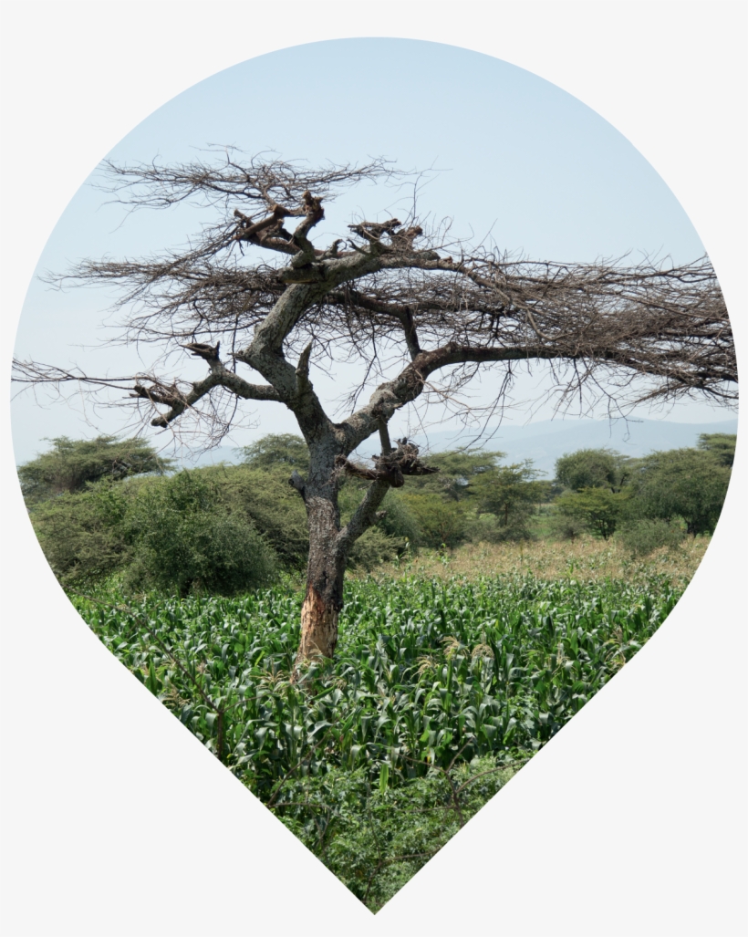 Great Rift Valley, transparent png
