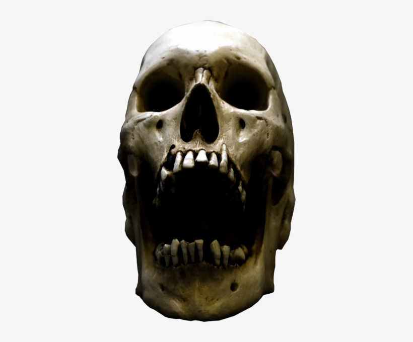Grunge Real Skull - Human Skull With Open Mouth - 354x600 PNG Download