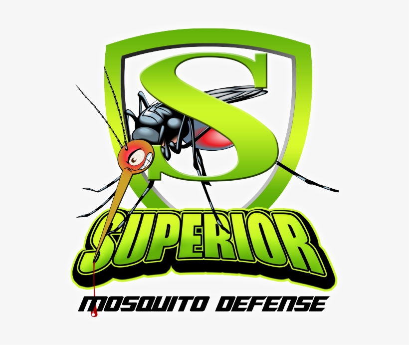 Lawn, transparent png