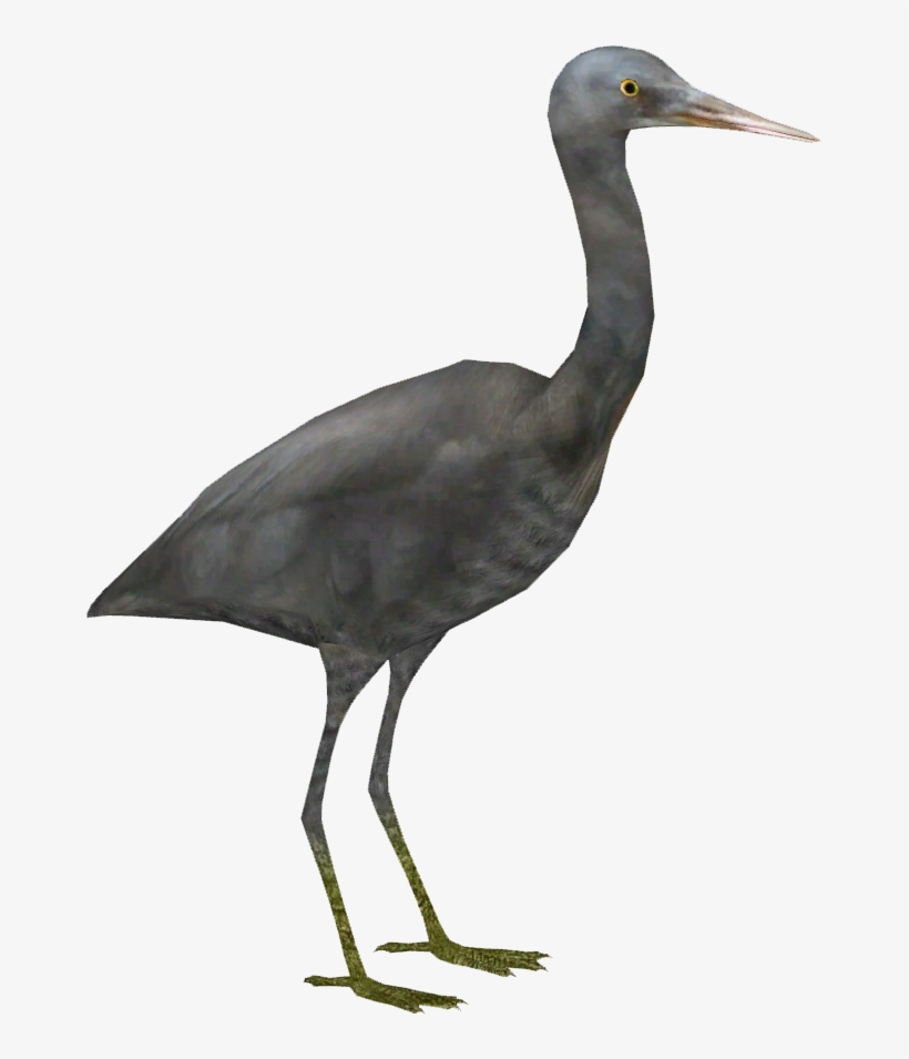 Pacific Reef Heron - Heron, transparent png