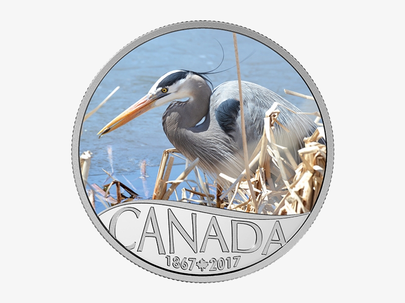 Pure Silver Coloured Coin Celebrating Canada's 150th - 2017 Fine Silver 10 Dollar Coin - Celebrating Canada's, transparent png