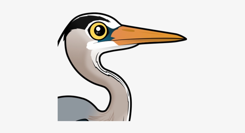 About The Great Blue Heron - Heron, transparent png