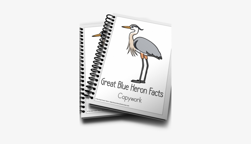 Great Blue Heron Color And Copywork - Income Tax School Certificate, transparent png