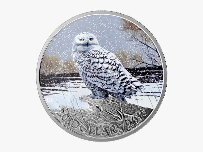 Picture Of - Silver Snowy Owl Coin, transparent png
