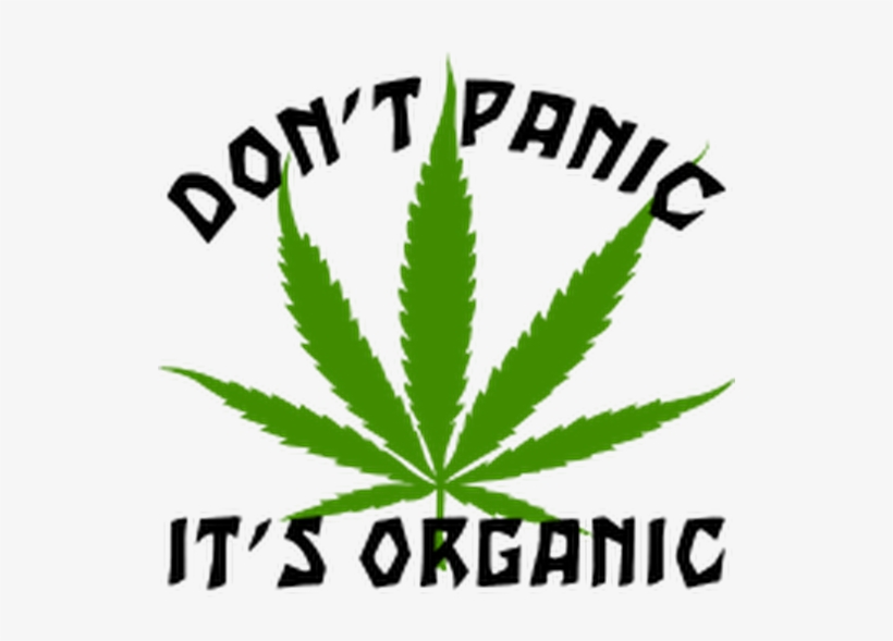 Photo - Funny Cannabis, transparent png