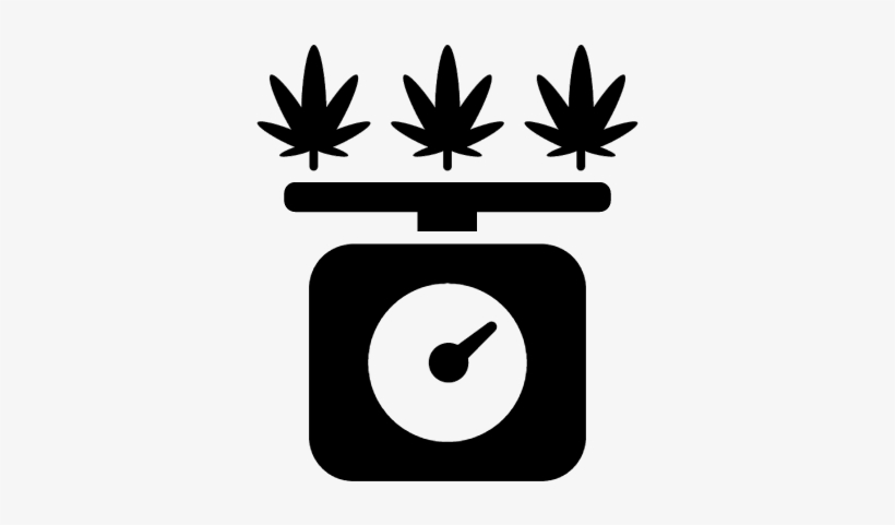Weighing The Marijuana Vector - Growing Marijuana For Beginners: Cannabis Growguide, transparent png
