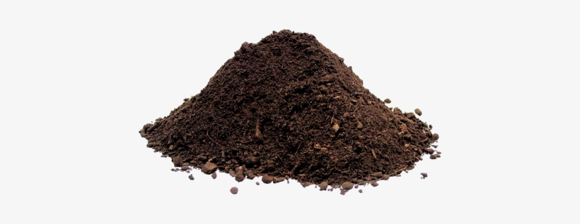 How To Plant Potatoes All You Need To Know About Growing - Humus Earth Science Definition, transparent png