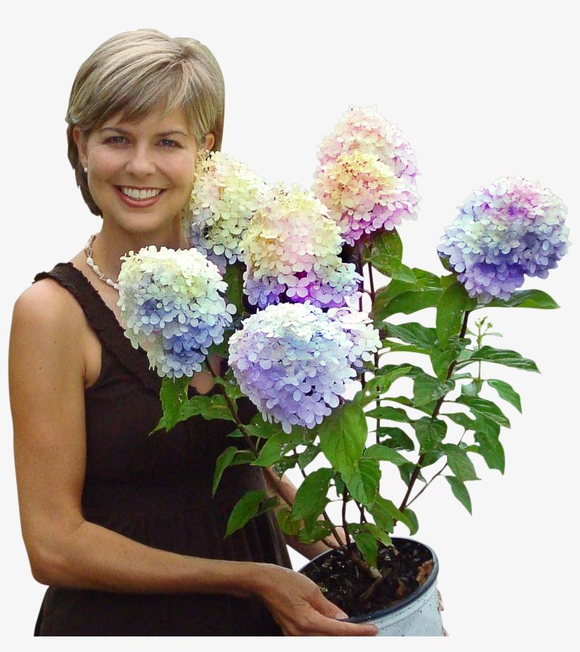About Us - Fast Growing Trees, Llc, transparent png