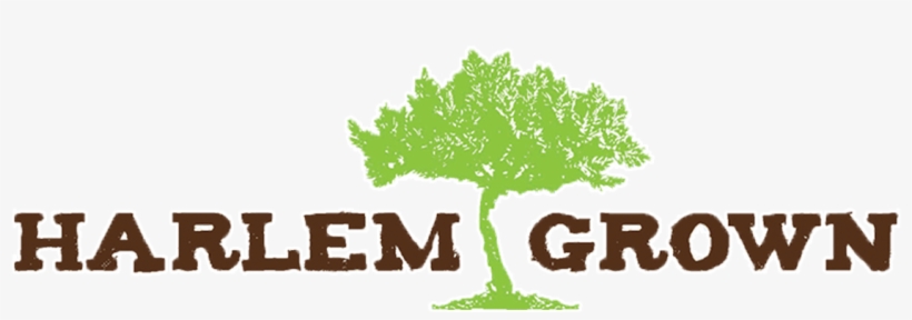 May 22 This Uptown Urban Farm Is Growing Career Opportunities, transparent png