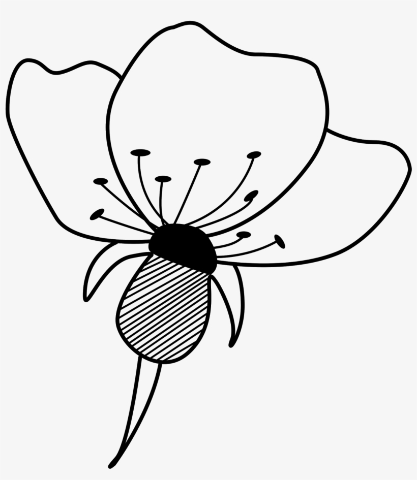 Dibujo De Flor, Descarga Este Recurso Gratis Y Libre - Drawing, transparent png