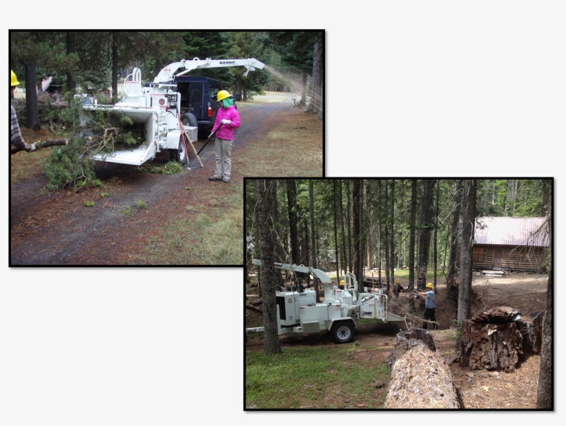 Finally, A Wood Chipping Crew Will Be Available To - Tree, transparent png