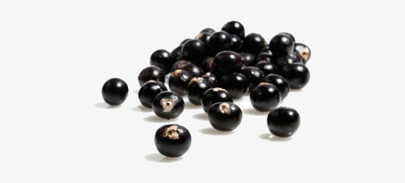 Because Mainstream Brands Have Not Included Acai Berry - Natrol Acai Berry Diet Original, transparent png