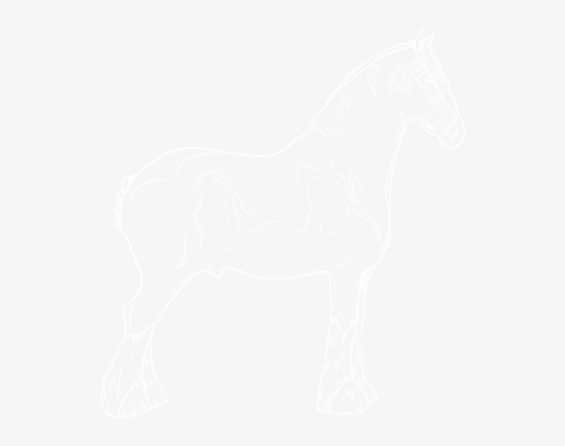 Ps4 Logo White Transparent, transparent png