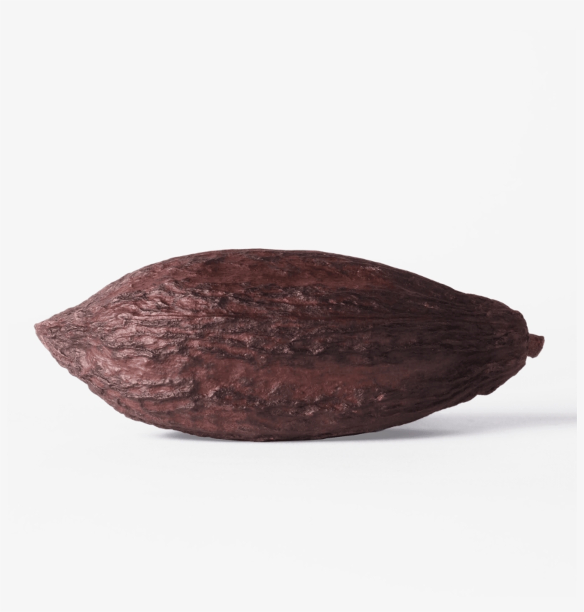 Dried Cocoa Pod - Dandelion Chocolate, Inc., transparent png