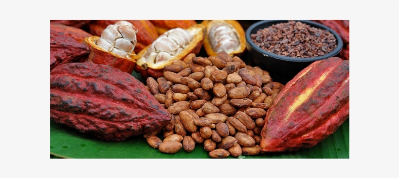 Mars Cocoa - Cacao Chocolate, transparent png