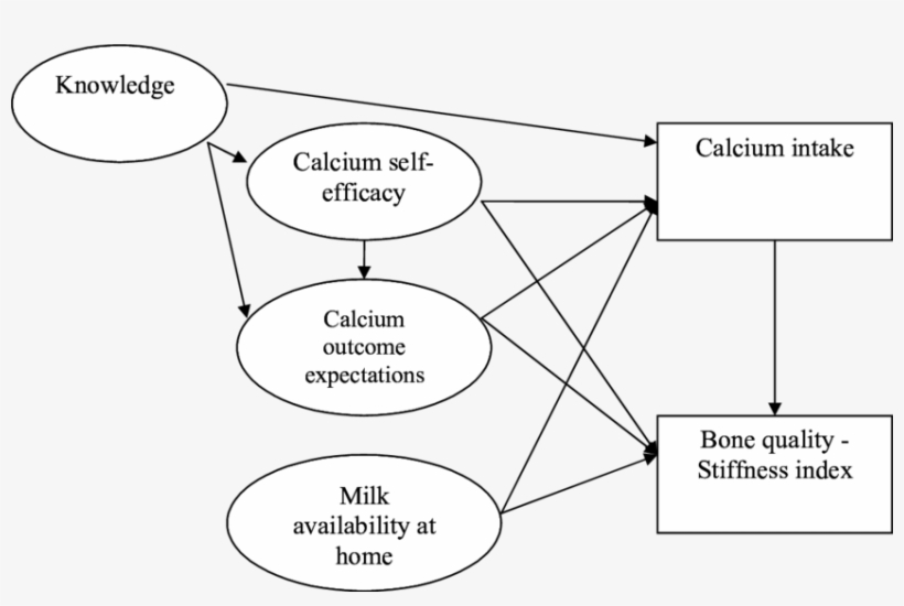 Hypothesized Pathways Between The Psychosocial Variables - Korg, transparent png
